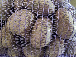 Продается картофель продовольственный сорта Бигросса от производителя по цене 0, 44 бел. руб/кг.