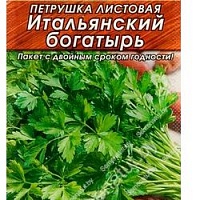 Петрушка листовая Итальянский богатырь