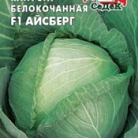 Семена белокочанной капусты