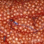 Картошка сорта Королева Анна. Один из самых вкусных сортов. Домашняя картошечка со своего учас