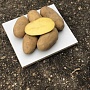 Картофель с доставкой Королева Анна ( желтый) продолговатый Отлично подходит для варки и жарки