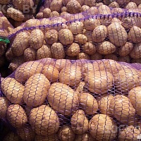 Продам картофель средний крупный, чистая, без парши и проволочника. Выращен без химикатов. Доста