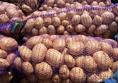 Продам картофель средний крупный, чистая, без парши и проволочника. Выращен без химикатов. Доста