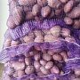 Картофель Манифест Сатина Гала