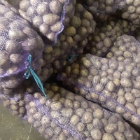 Картофель Гала 5 калибр. Продаём от 100 кг. Цена от 0, 60 руб за кг при покупке свыше тонны. Дос