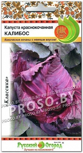 Семена краснокочанной капусты