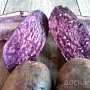 Продам картофель с цветной мякотью