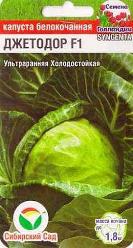 Семена капусты