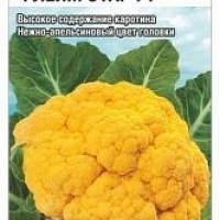 Семена капусты