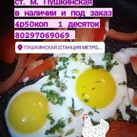 Яйца куриные
