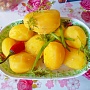 Продается домашний картофель, клюква дикорастущая, сухофрукты яблоко с грушей, белые семечки сух