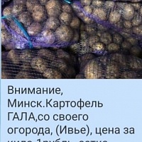 Продам картофель