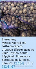 Продам картофель