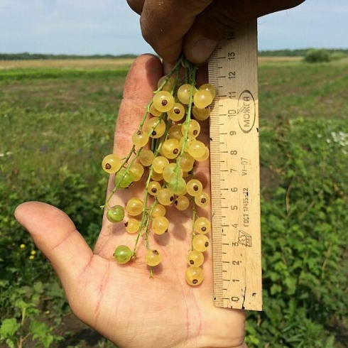Использование арматуры в строительстве