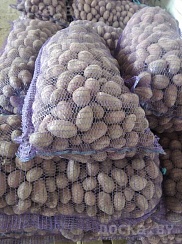 Картофель семенной и столовый. Качество отличное, сорта уточняйте.