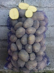 Продам свой домашний картофель сорта Гала, отличное качество. Выращен Строго Без Химикатов.