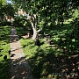 Продам мускусных уток возраст 120 дней, вес 3.5 кг. А/г Вишнёвка.