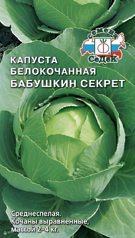 Семена белокочанной капусты