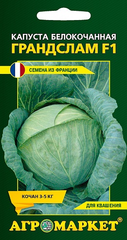 Семена капусты