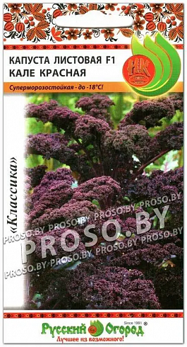 Семена листовой капусты