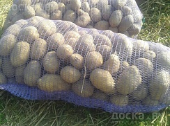 Продам картофель с участка. Вкусный, жёлтый, без химии. Скидки от 3 мешков