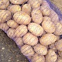 Картофель домашний, чистый. Качество отменное, т к выращивали для себя Продаём излишки Никаких