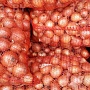 Домашний картофель Королева Анна, супер качество. Выращен Строго Без Химикатов. Без всяких б