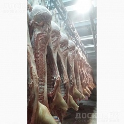 Свинина оптом в полутушах и тушах. Доставка спец. транспортом и самовывоз. Осмол