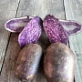Продам картофель с цветной мякотью