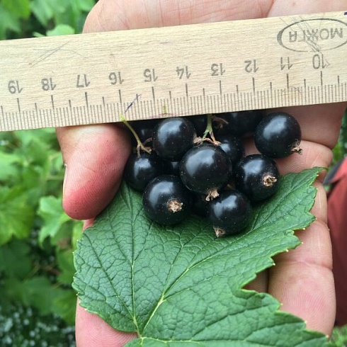 Использование арматуры в строительстве