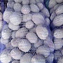 Картофель деревенский. От одной сетки 1.50. от трёх сеток 1.40. доставка на дом бесплатная.