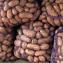 Картофель с доставкой Королева Анна ( желтый) продолговатый Отлично подходит для варки и жарки