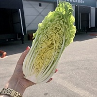Капуста пекинская