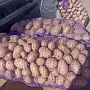 Продам домашний картофель. Доставка Минск (все районы), Минский р-н( по договоренности. Звоните,