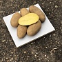 Картофель в сетке по 25 кг с достав. Королева Анна ( желтый) продолговатый Отлично подходит для