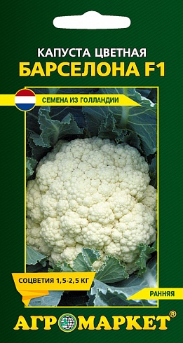 Семена капусты