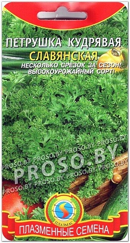 Петрушка кудрявая Славянская