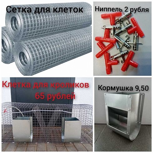 Клетка сетка