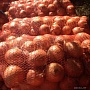 Картофель Бесплатная Доставка Подъем до вашей двери бесплатно Вкусная, жёлтая не первый год ра