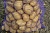 Продам картофель средний крупный, чистая, без парши и проволочника. Сорт (Уладар - ред скарлетт)