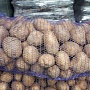 Продам картофель с частого подворья хорошего качества. Сорт (Бриз, Улодар), желтенькая средне ра