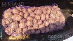 Картошка сорта Королева Анна. Один из самых вкусных сортов. Домашняя картошечка со своего учас