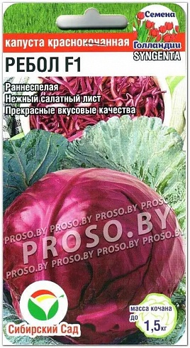 Семена краснокочанной капусты