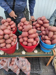 Привезу. подниму. и угощу сальцом). Фото реальные. Цена на сей продукт 0, 80руб. кг. Доставка по