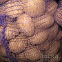 Продаю излишки своего картофеля сорт Адретта. Картофель среднего размера-ближе к крупному. Ч