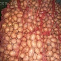 Картофель выращен в Брестской области. Имеет потрясающие вкусовые качества. Отлично хранится