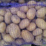 Продаем свой собственноручно выращенный картофель немецких отборных сортов (очень вкусная, разва