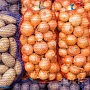 Продаем свой собственноручно выращенный картофель немецких отборных сортов (очень вкусная, разва