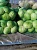 Капуста белокочанная. Продажа оптом. Шкловский район
