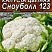 Семена цветной капусты